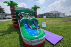 16542B15 2100 4C24 89C3 DB1FCA95FF54 1767200532 Tropical Combo (Wet/Dry)