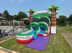 tropical20120 20IO 1767022486 Tropical Combo (Wet/Dry)