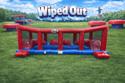 Wiped Out (Dry Only)